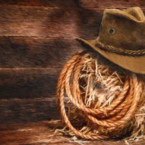 Barn Dance