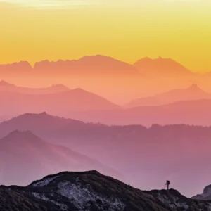 Beautiful World