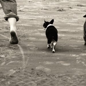 Footsteps In The Sand