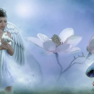 Fragile Fairytale