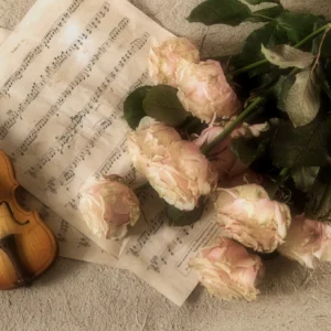 Glass Slipper Serenade