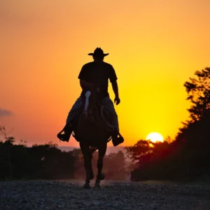Lonesome Cowboy