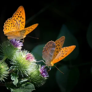 Mother Nature