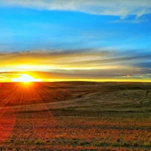 Prairie Home