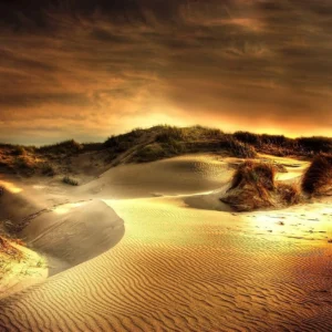 Sahara Sands