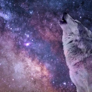 Starry Starry Night