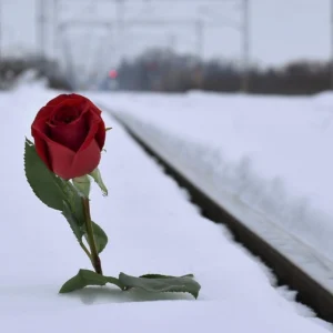 Tender Heartache